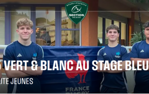 5 verts &amp; blancs en bleu