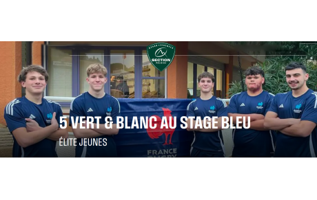 5 verts &amp; blancs en bleu
